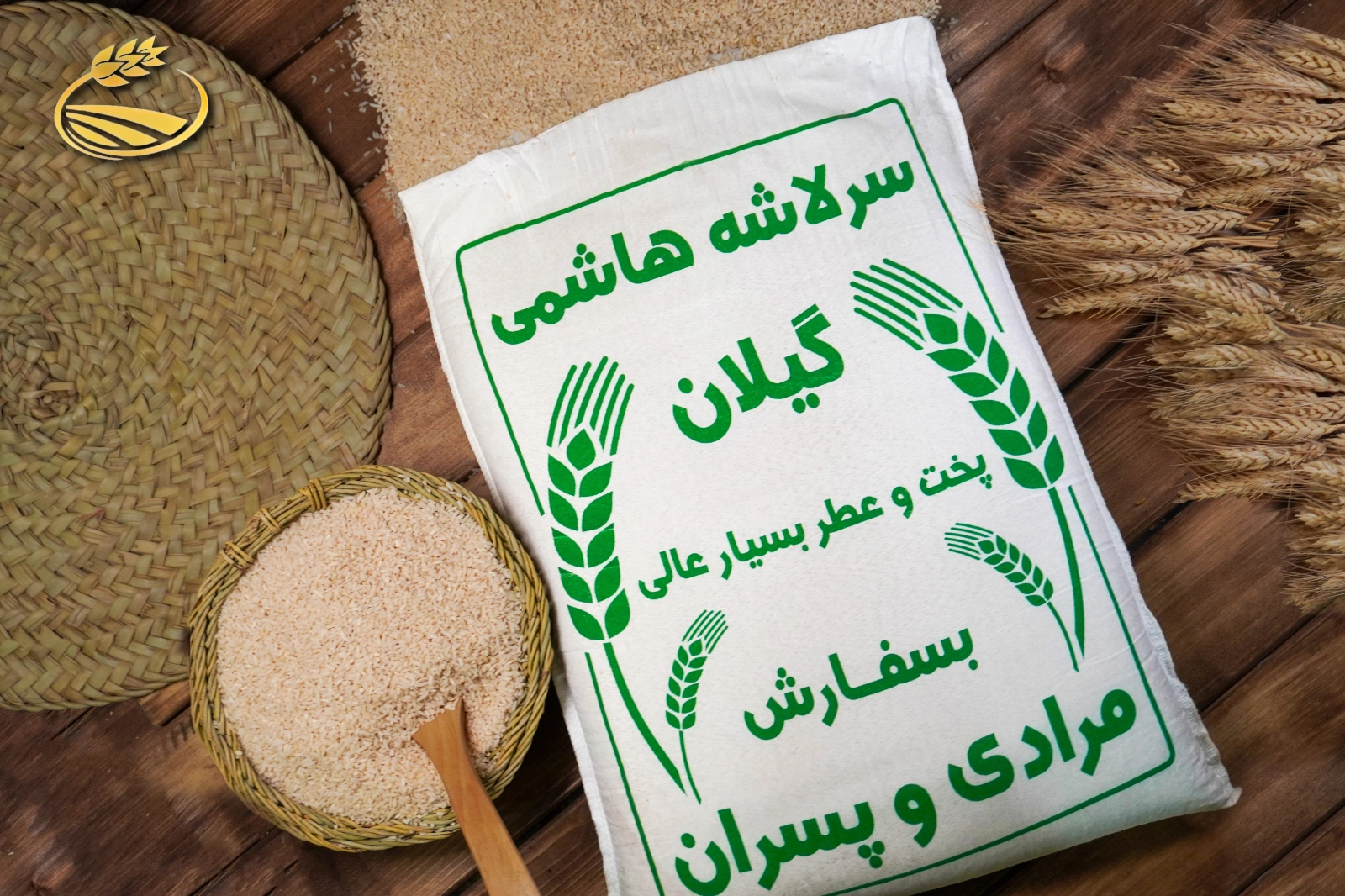 سرلاشه هاشمی