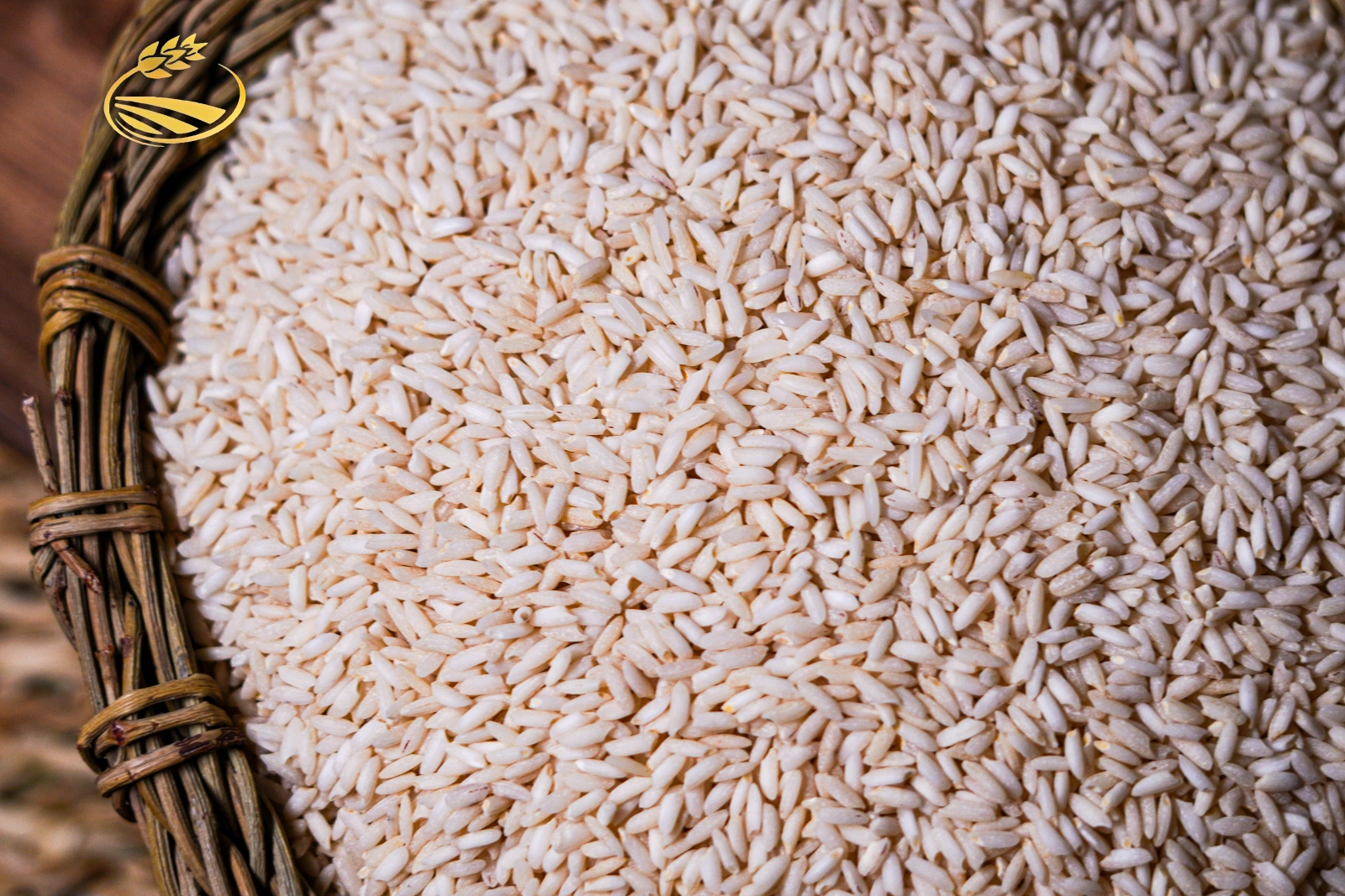 تصویر 1